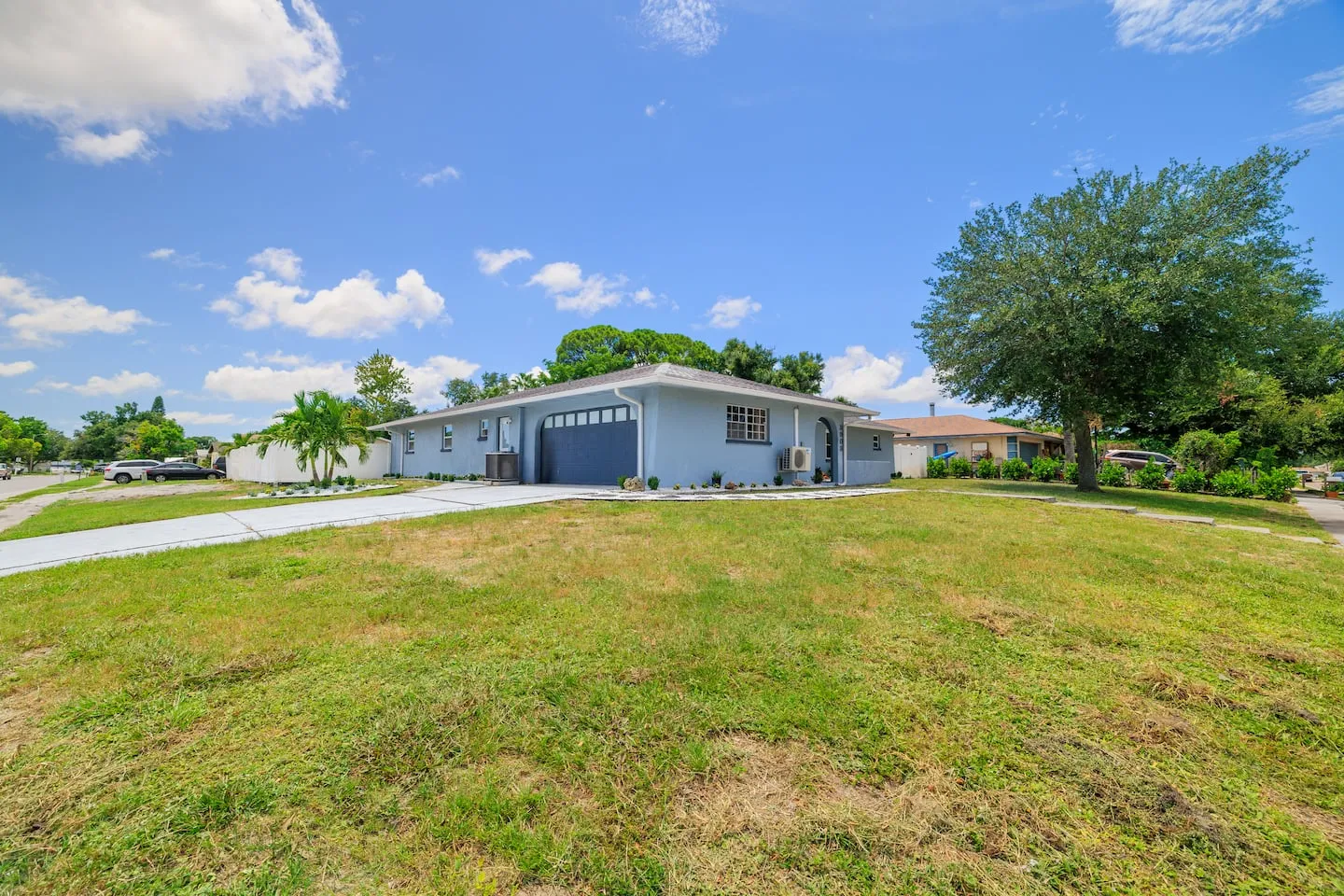 The Breezy Palm: front yard